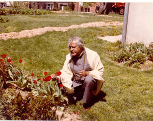 Gururaj in the Garden